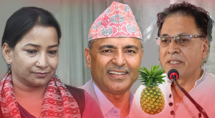 भरतपुरमा भुँइकटहरको पराकम्पन